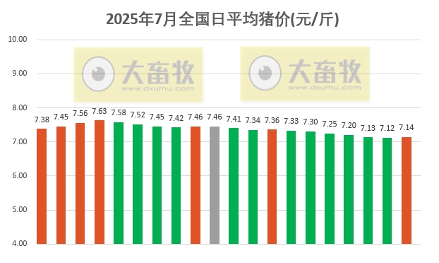 2025.07.20 今天猪价行情分析