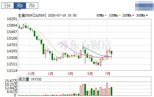 2025.07.20 今天猪价行情分析