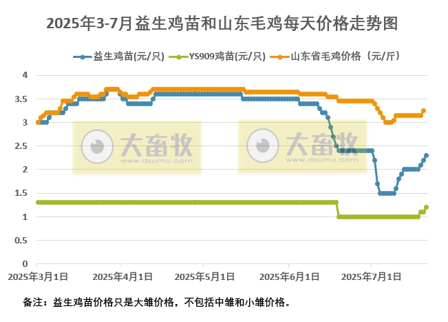 2025年7月21日益生鸡苗和山东毛鸡行情资讯