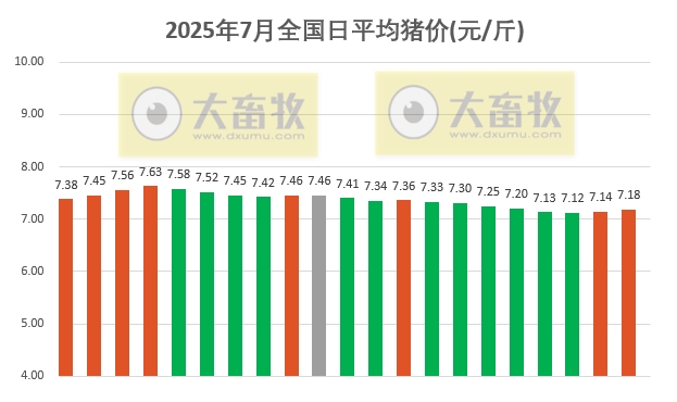 2025.07.21 今天猪价行情分析