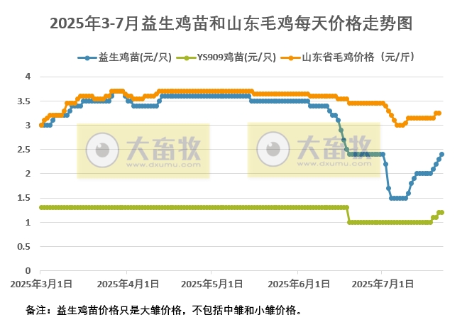 2025年7月22日益生鸡苗和山东行情资讯