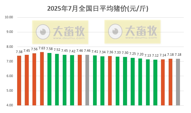2025.07.22 今天猪价行情分析