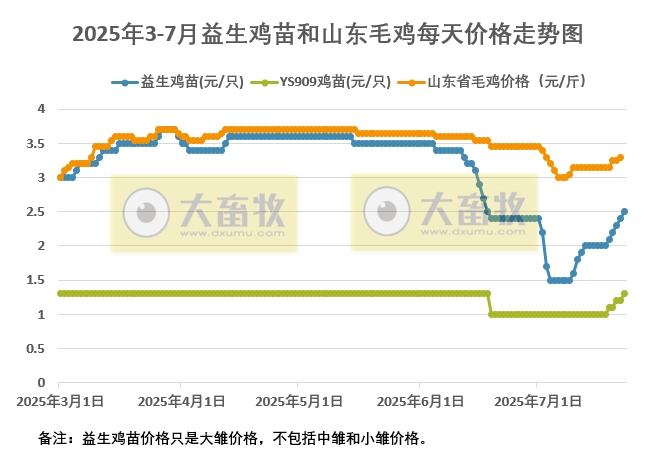 2025年7月23日益生鸡苗和山东毛鸡行情资讯