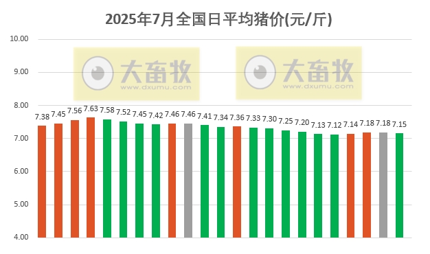 2025.07.23 今天猪价行情分析