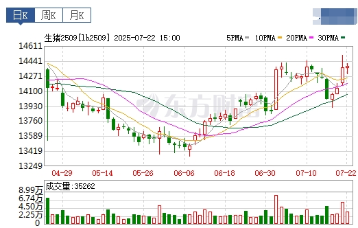 2025.07.23 今天猪价行情分析