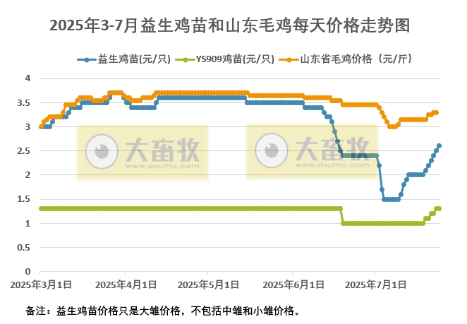 2025年7月24日益生鸡苗和山东毛鸡行情资讯