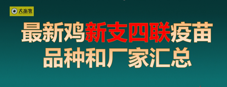 最新鸡新支四联疫苗品种和厂家汇总（2024年版）