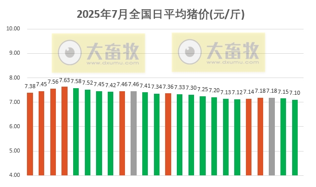2025.07.24 今天猪价行情分析