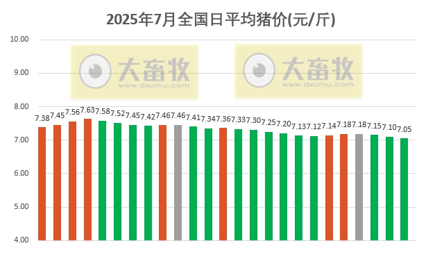 2025.07.25 今天猪价行情分析
