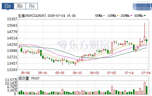 2025.07.25 今天猪价行情分析