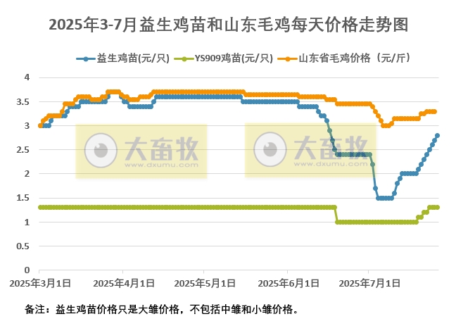 2025年7月26日益生鸡苗及山东毛鸡行情资讯