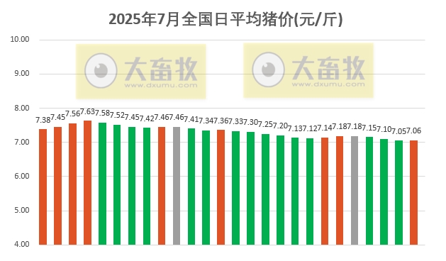 2025.07.26 今天猪价行情分析