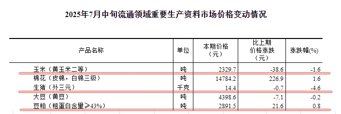 2025.07.26 今天猪价行情分析