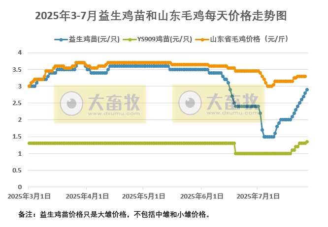 2025年7月27日益生鸡苗和山东毛鸡行情资讯