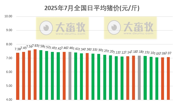 2025.07.27 今天猪价行情分析