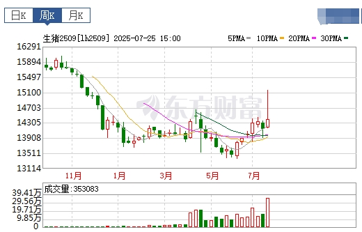 2025.07.27 今天猪价行情分析