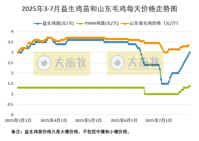 2025年7月28日益生鸡苗和山东毛鸡行情资讯