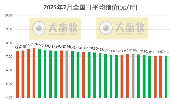 2025.07.28 今天猪价行情分析