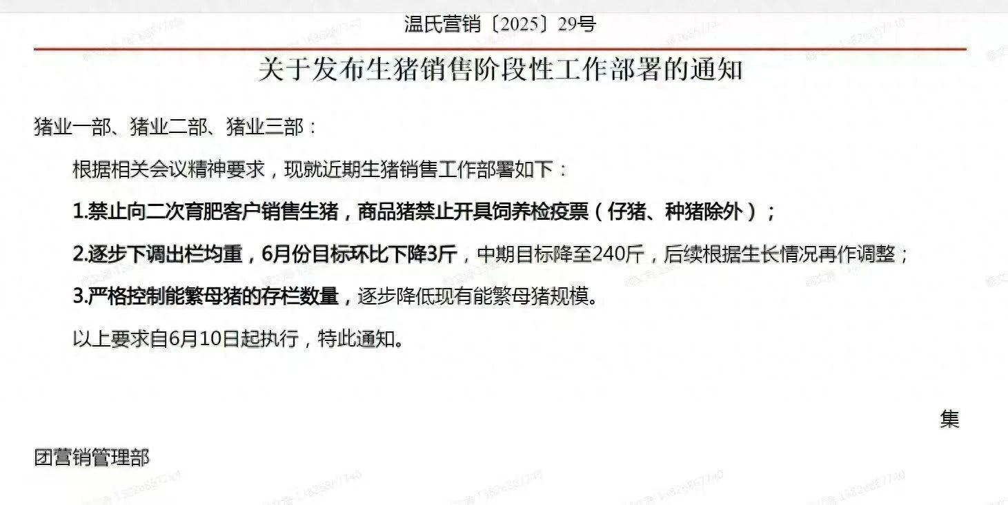 2025.07.28 今天猪价行情分析