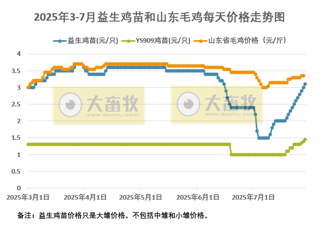 2025年7月29日益生鸡苗和山东毛鸡行情资讯