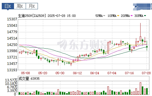 2025.07.29 今天猪价行情分析