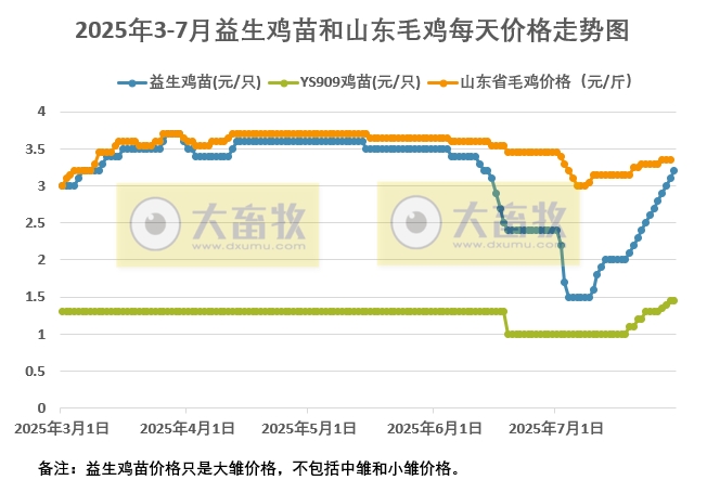 2025年7月30日益生鸡苗和山东毛鸡行情资讯