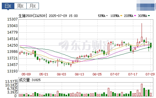 2025.07.30 今天猪价行情分析——22省跌破7元大关