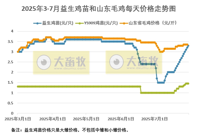 2025年7月31日鸡苗和毛鸡行情资讯
