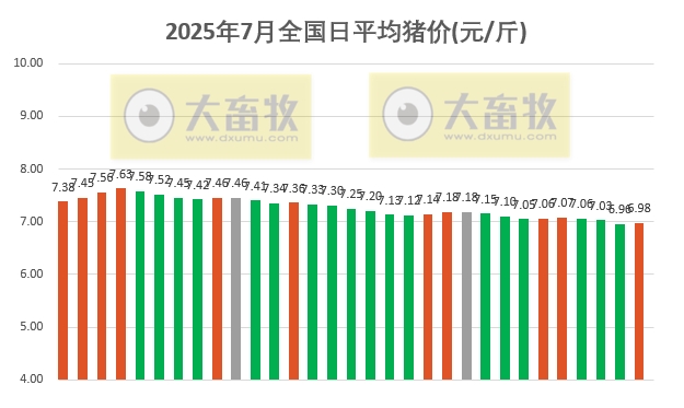 2025.07.31 今天猪价行情分析——多地上涨