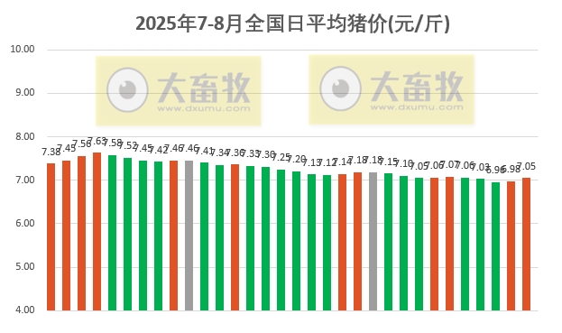 2025.08.01 今天猪价行情分析——大幅度上涨