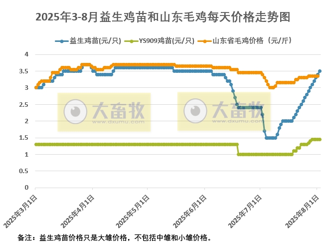 2025年8月2日鸡苗和毛鸡行情资讯