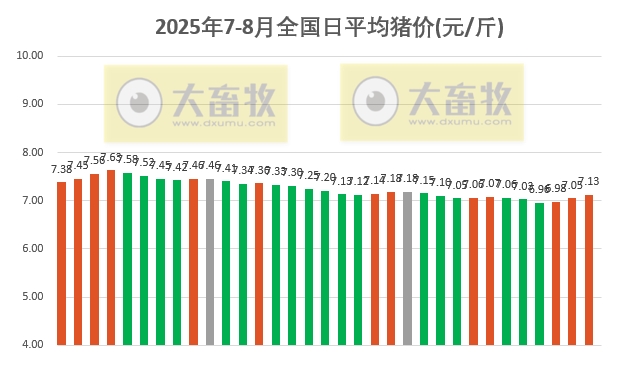 2025.08.02 今天猪价行情分析——继续大幅度上涨