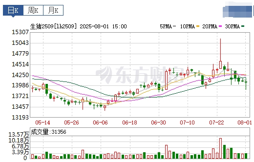 2025.08.02 今天猪价行情分析——继续大幅度上涨