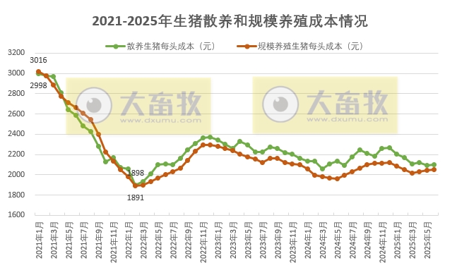 2025年6月全国散养和规模养殖生猪成本收益情况