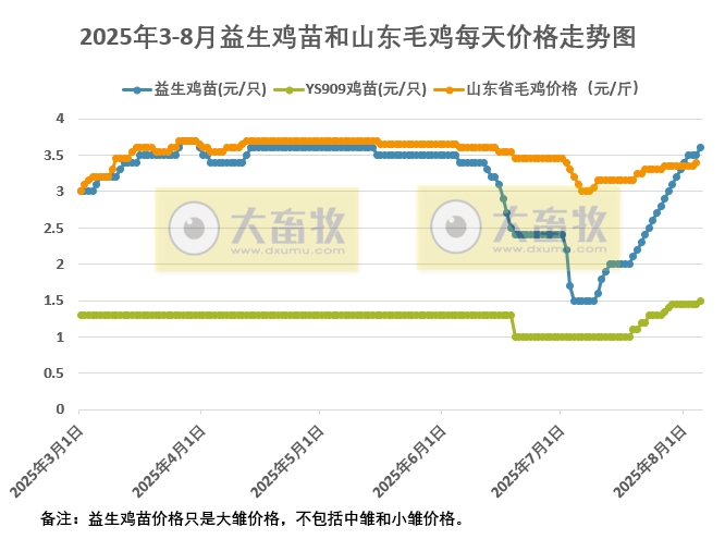 2025年8月5日鸡苗和毛鸡行情资讯