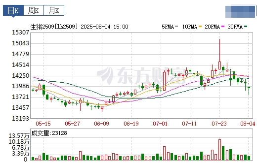 2025.08.05 今天猪价行情分析