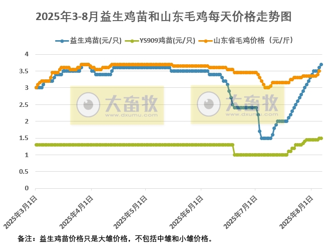 2025年8月6日鸡苗和毛鸡行情资讯