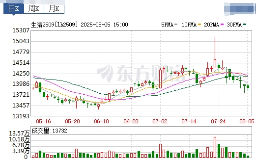 2025.08.06 今天猪价行情分析