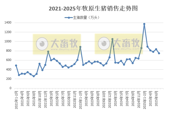 牧原2025年7月生猪销售简报分析