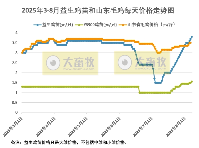 2025年8月7日鸡苗和毛鸡行情资讯