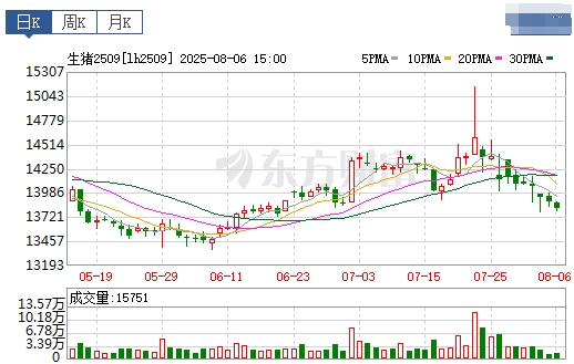 2025.08.07 今天猪价行情分析
