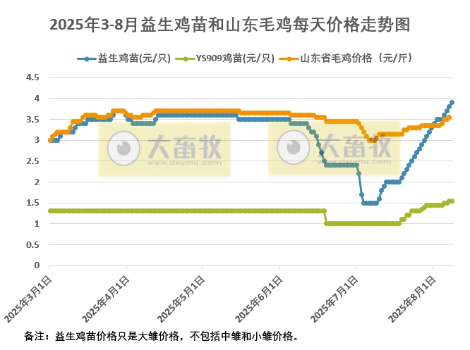 2025年8月8日鸡苗和毛鸡行情资讯