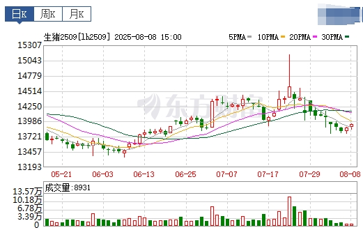 2025.08.09 今天猪价行情分析