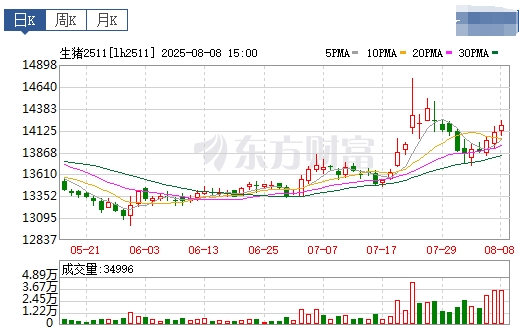 2025.08.09 今天猪价行情分析