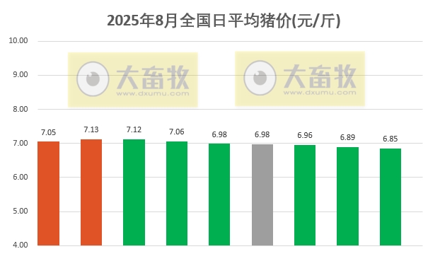 2025.08.09 今天猪价行情分析