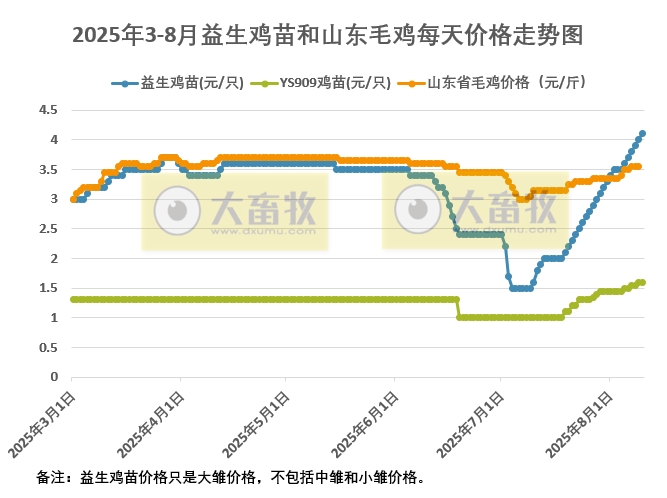 2025年8月10日鸡苗和毛鸡行情资讯