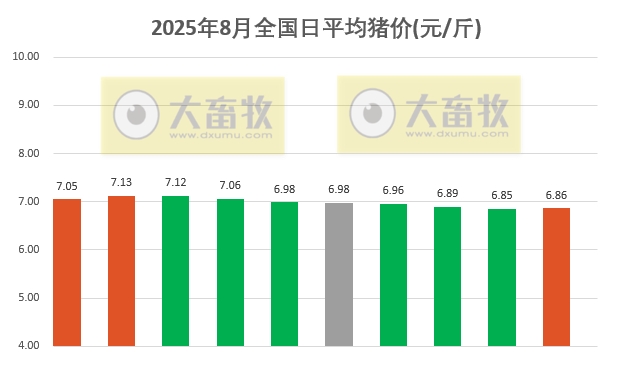 2025.08.10 今天猪价行情分析
