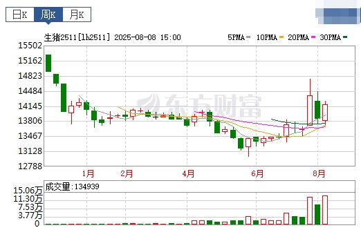 2025.08.10 今天猪价行情分析