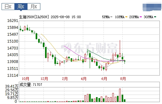2025.08.10 今天猪价行情分析