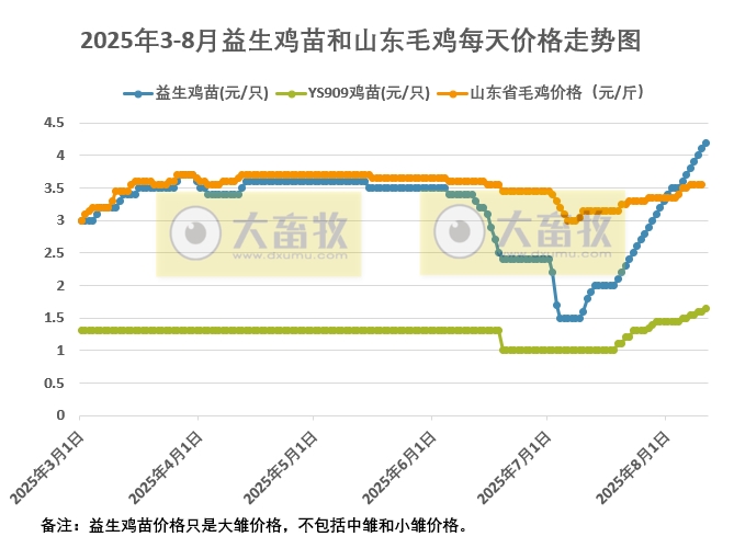 2025年8月11日鸡苗和毛鸡行情资讯